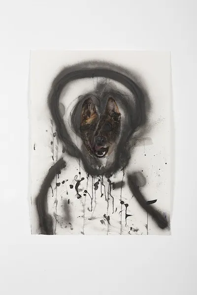 Bhabha artwork