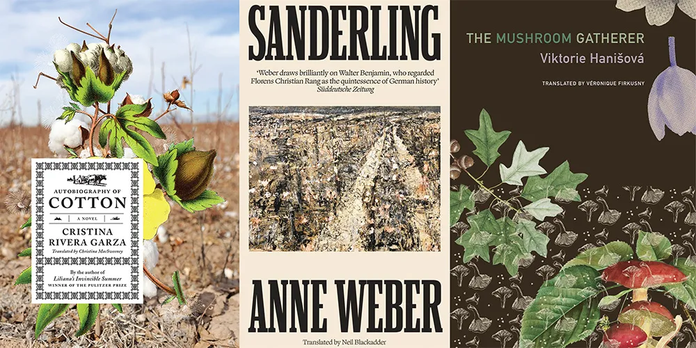 From L-R: AUTOBIOGRAPHY OF COTTON by Cristina Rivera Garza, tr. Christina MacSweeney; SANDERLING by Anne Weber, tr. Neil Blackadder; THE MUSHROOM GATHERER by Viktorie Hanišová, tr. Véronique Firkusny 