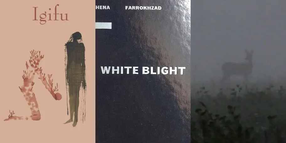 Book covers