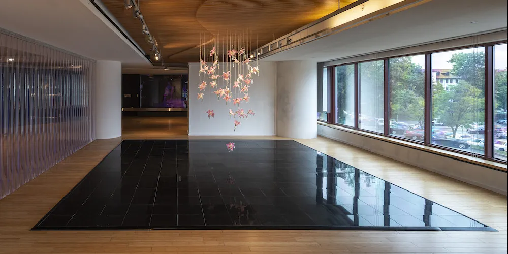 'Untitled (salvation is a collective gesture/I know that we are all here at the same time)' credit: Cary Whittier