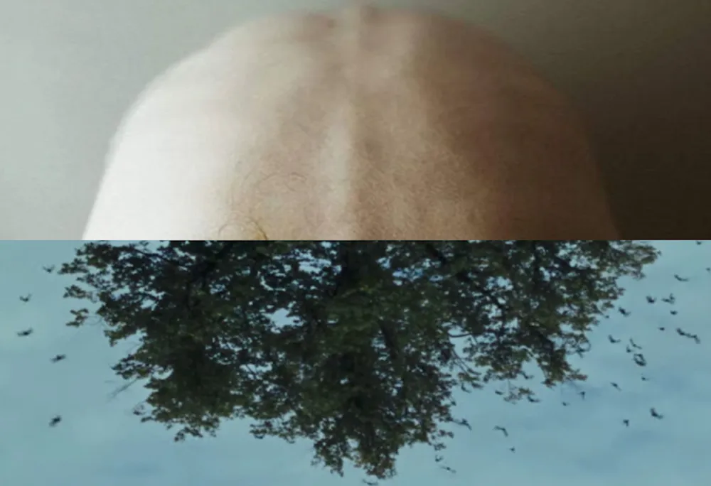 Still from Clara Sola