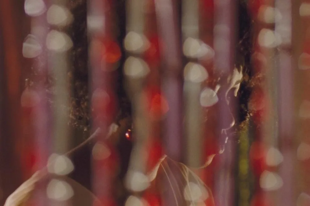 Still from Eyimofe, co-directed and co-written by alumnus Arie Esiri '19 and edited by alumnus Andrew Stephen Lee '18