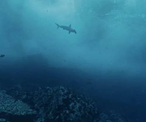underwater