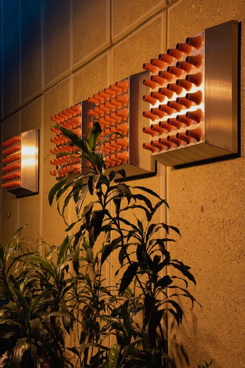  Color Temperature Orange (CTO), 2019