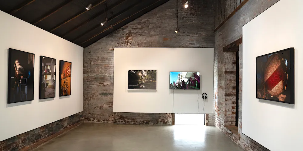 Traversing Geographies, Complicating Memories, featuring Vesna Pavlović '07
