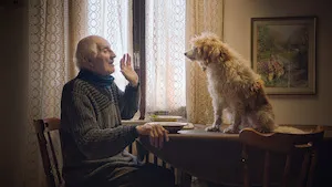 Still from The Truffle Hunters