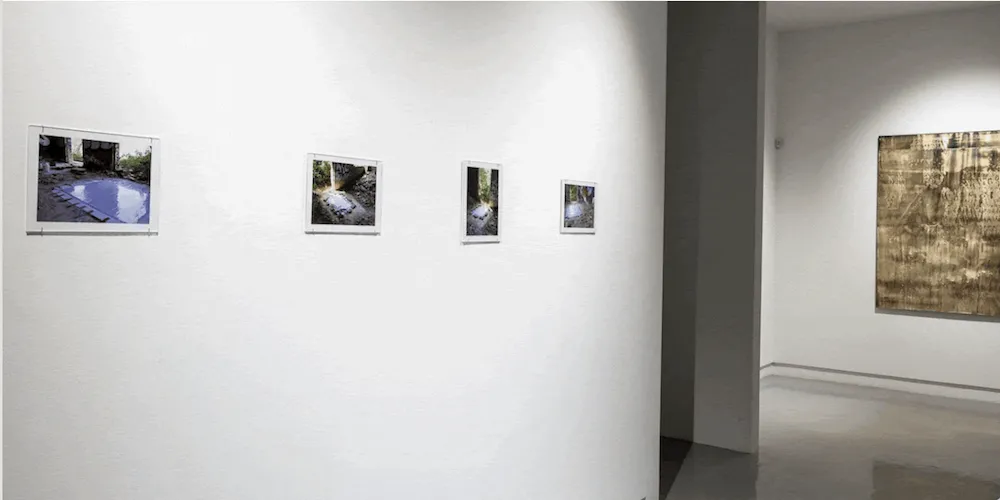 Sensory Meridian at Kavi Gupta Gallery
