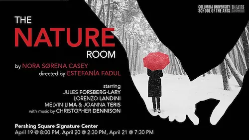 the nature room play