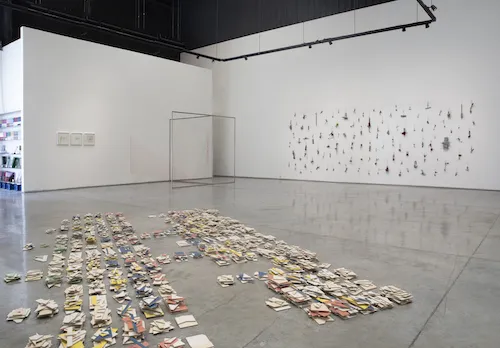 Vikram Divecha ’19 featured in 'Out of Place'