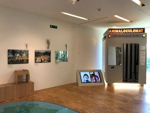 Gallery wall with artwork on it
