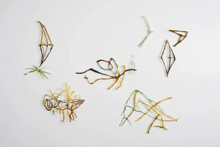 Threads of different colors arranged in various shapes
