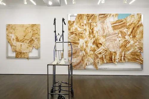 Jeffrey Meris '19 at White Columns, NY