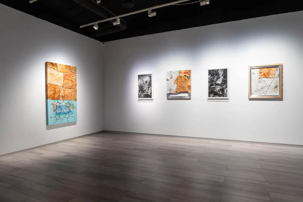 Another view of the gallery