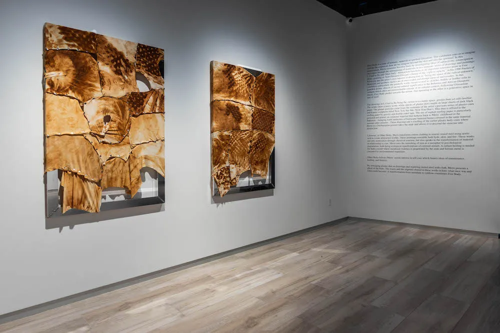 artwork on walls in gallery