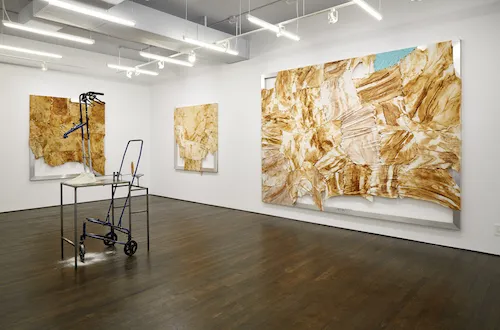 Jeffrey Meris '19 at White Columns, NY