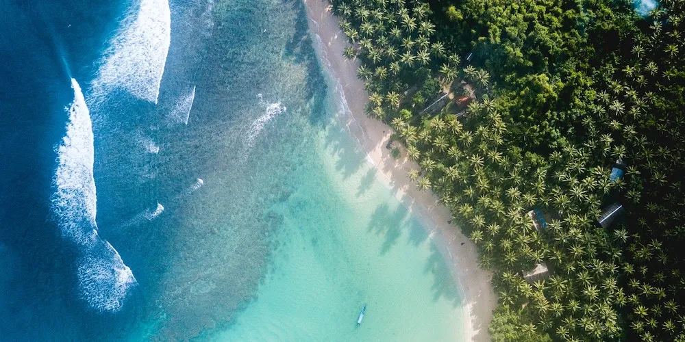 Bird's eye view of a tropical beach