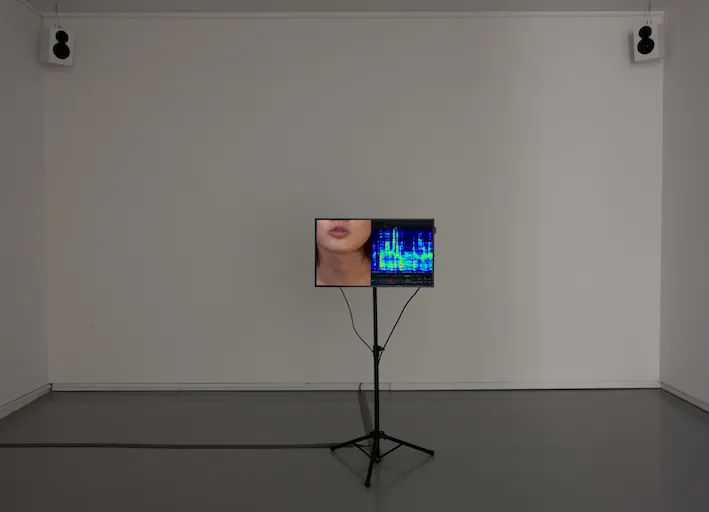 Sensory Meridian at Kavi Gupta Gallery