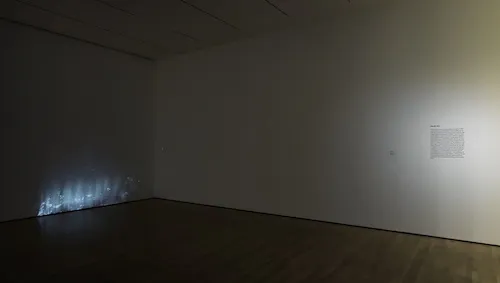 'Off the Wall' at SFMOMA