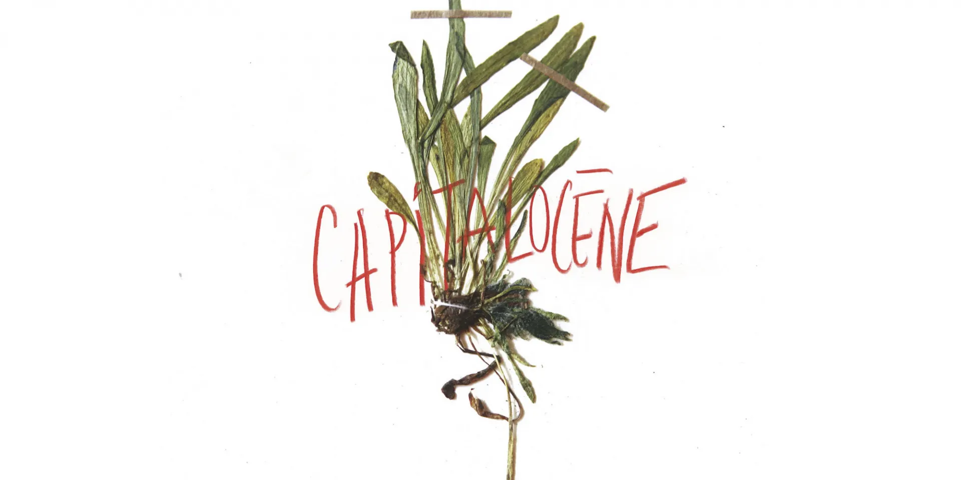Yann Toma: CAPITALOCENE hero 