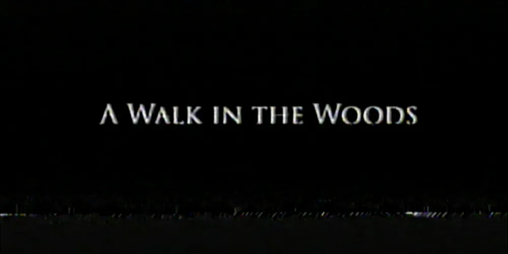 A Walk in the Woods 