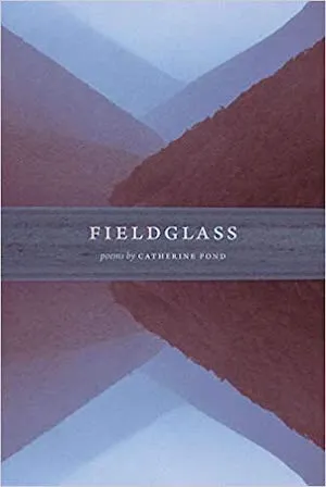Book cover of Fieldglass