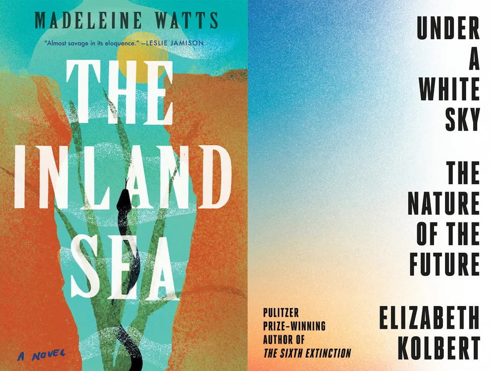 Book cover of The Inland Sea