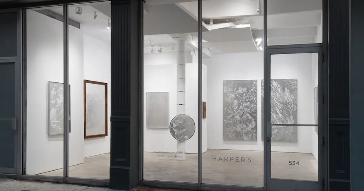 Sharon Cheuk Wun Lee '25 Debuts Solo Exhibition 'Possibly, Here' at ...