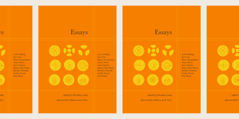 Essays book cover