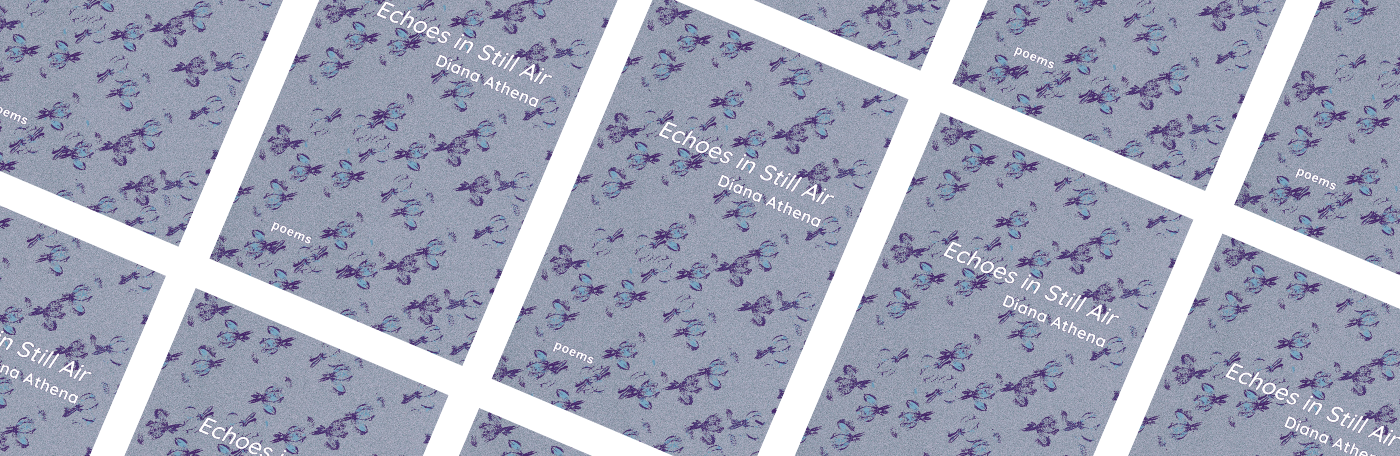 book cover of 'Echoes in Still Air'