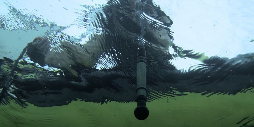 Jana Winderen hydrophone recording in Panama underwater perspective looking towards surface