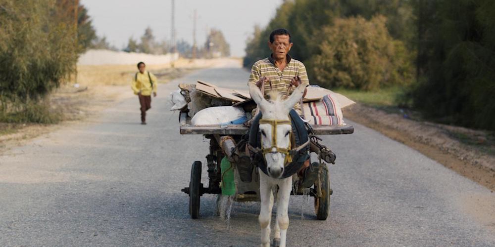 Man driving a horse drawn wagon