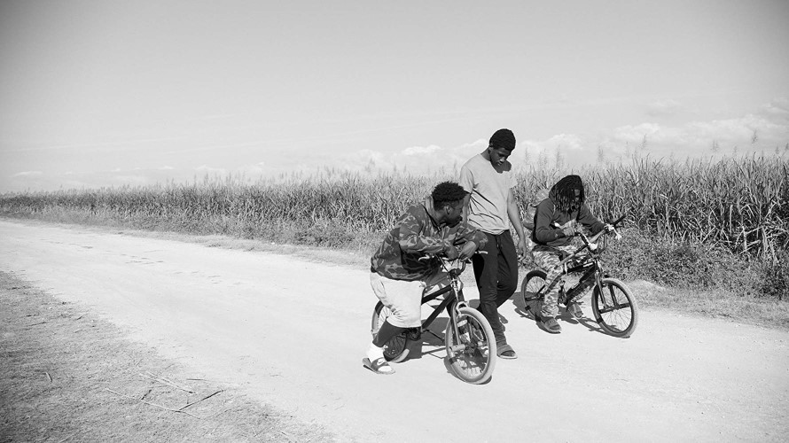 Three men ride bicycles by a corn field.