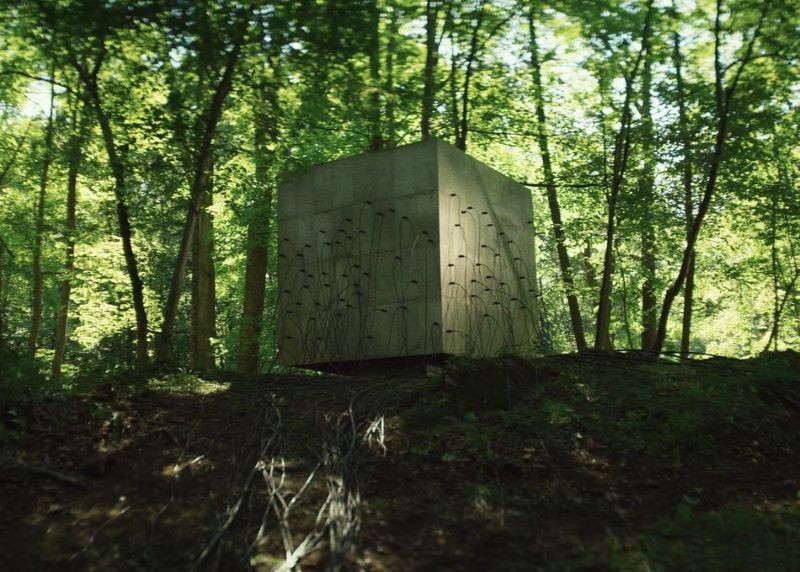 Large concrete cube in a forest
