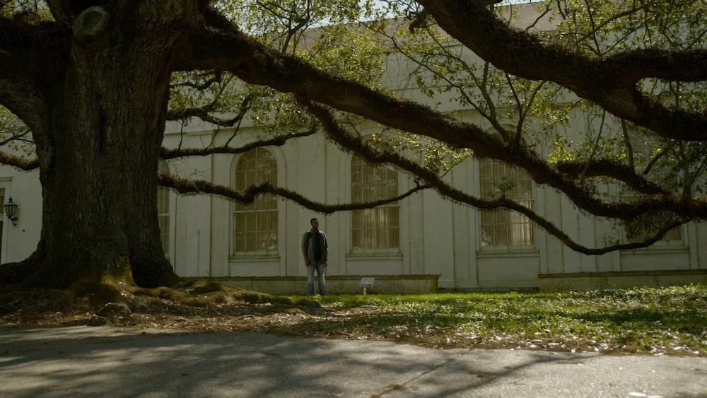 Still from Evergreen - a man stands in the background, in front of a building with large decorative windows and near an enormous tree