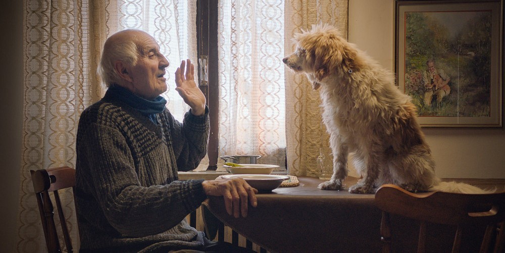 Elderly man with a dog seated on table