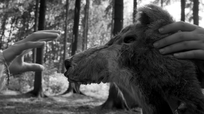 Still from 'The Wolf Will Tear Your Immaculate Hands' dog with human hand reaching towards it