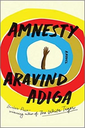 'Amnesty' book cover