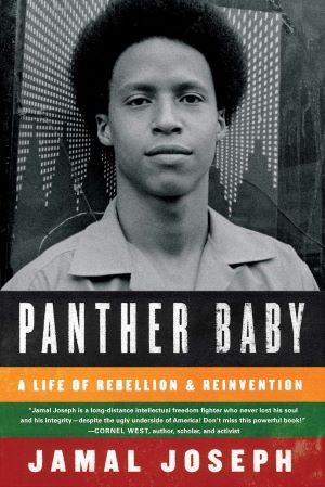 'Panther baby' book cover