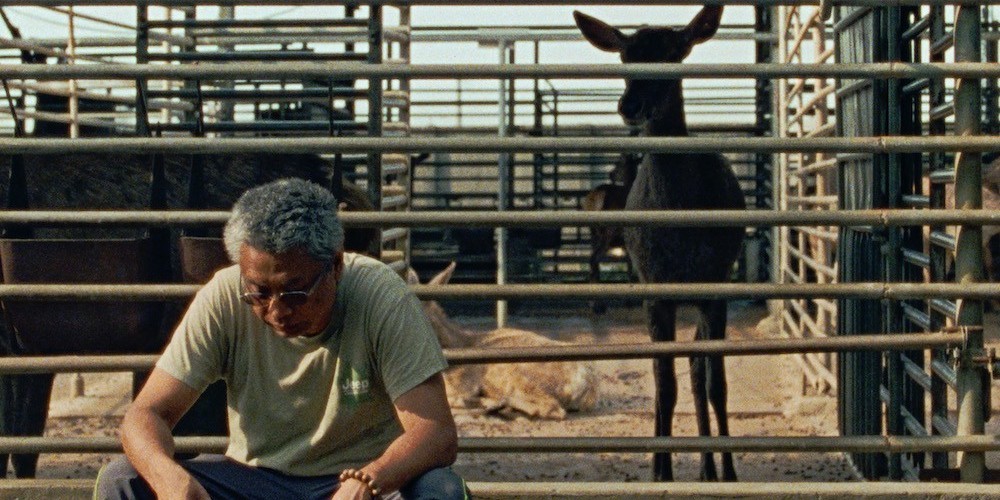 A man sits looking at the ground in front of a deer pen. 