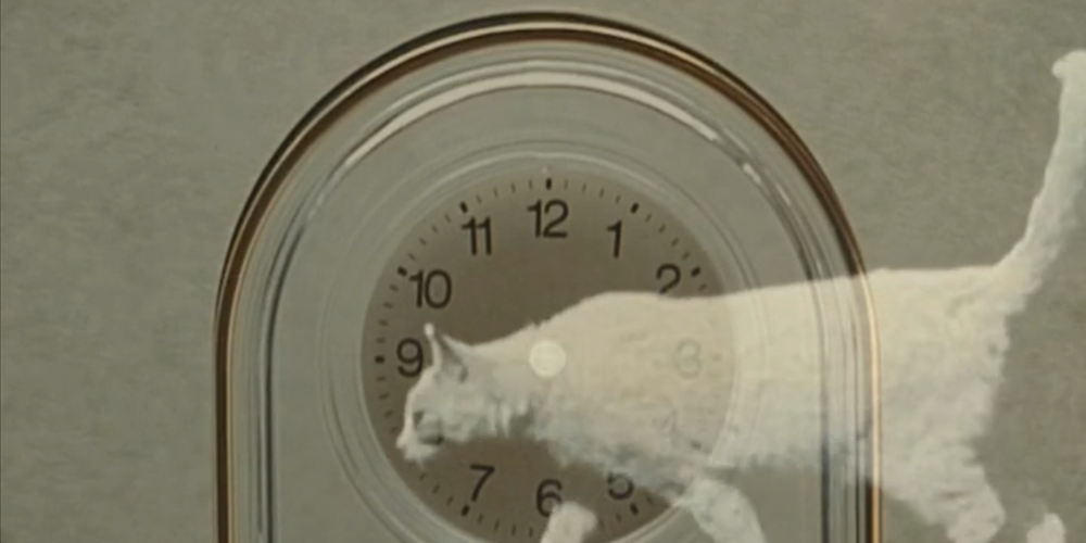 Still from 'Gleaning Reflection' by Undergraduate student Grace Ainsley Hecht Cat walks across clock.