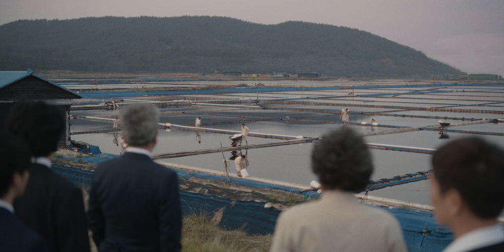 A group of people stand looking out at a field being worked by others. 