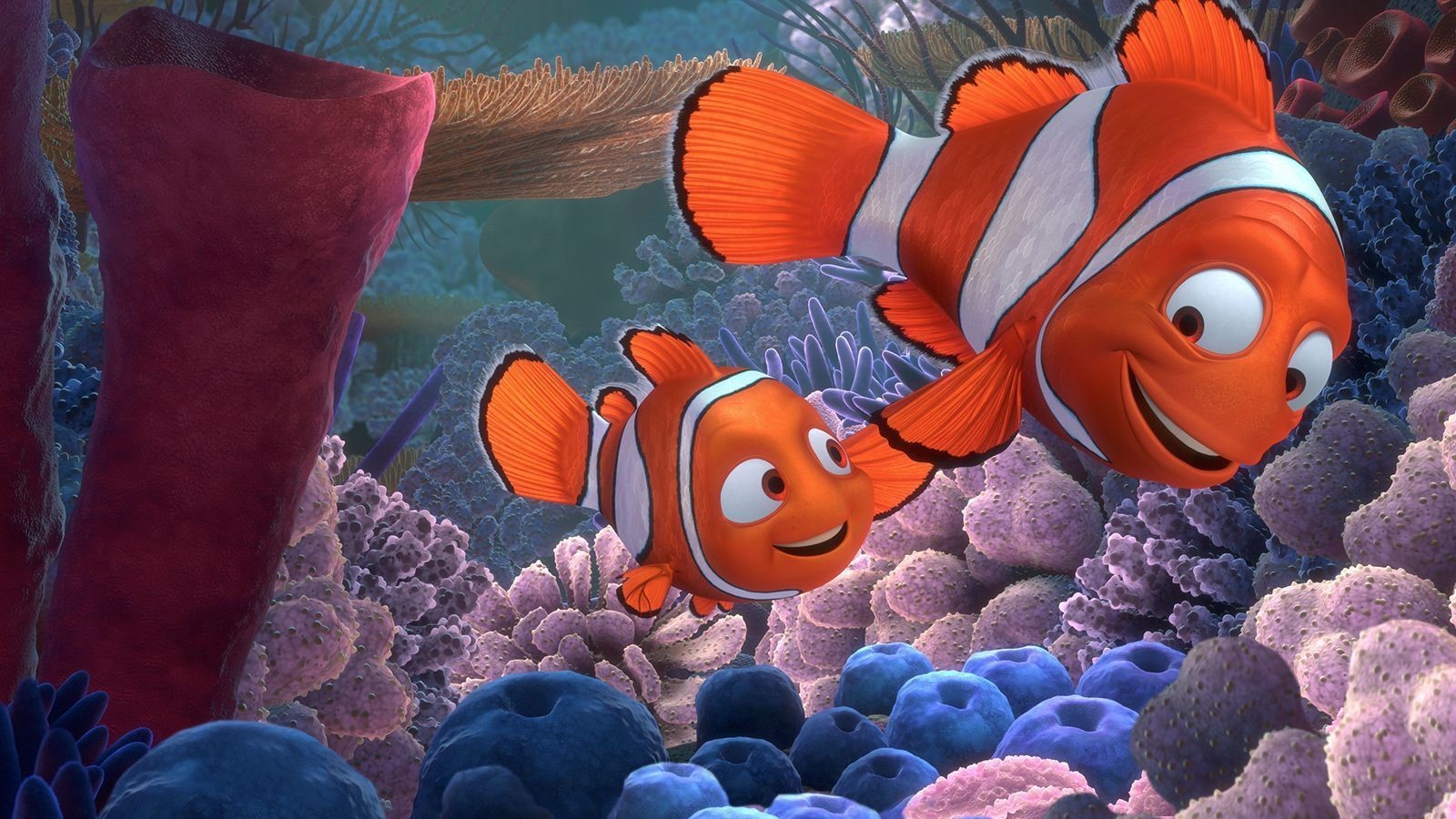 two animated clown fish in coral