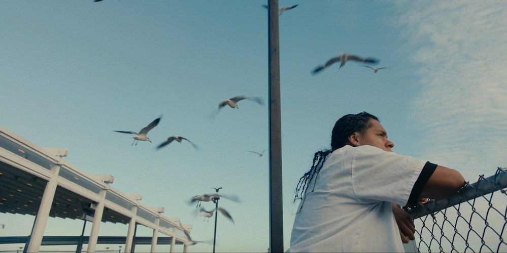 Man stands below flying seagulls. 
