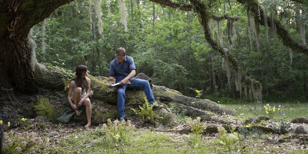 Still from 'Where the Crawdads Sing' courtesy of Sony Pictures Still from 'Where the Crawdads Sing'