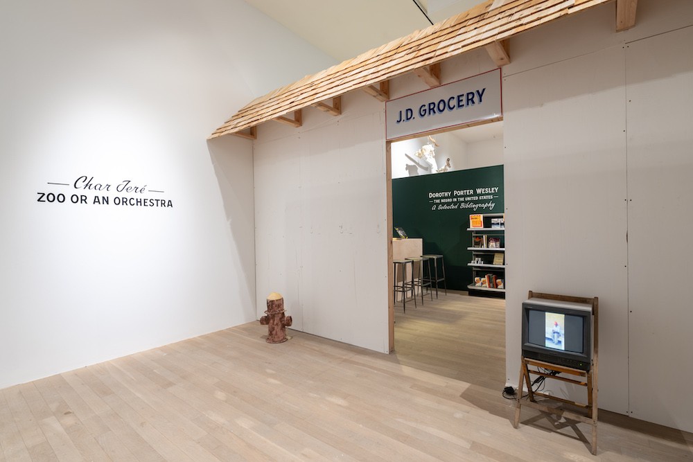 Char Jeré: Zoo or an Orchestra. Installation view, Artists Space, 2023. Image courtesy Artists Space, New York. Photo: Filip Wolak. Entrance into sound art exhibit