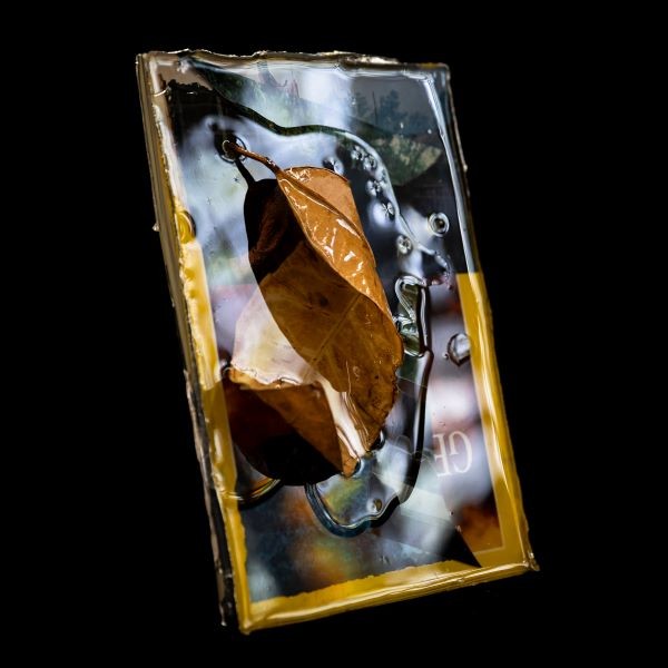 Where the Leaves May Fall, 11”x 7”x1”, Vintage National Geographic magazine, Resin, photography by Peter Vahan visual art with leaf