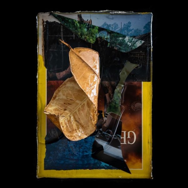 Where the Leaves May Fall, 11”x 7”x1”, Vintage National Geographic magazine, Resin, photography by Peter Vahan art collage