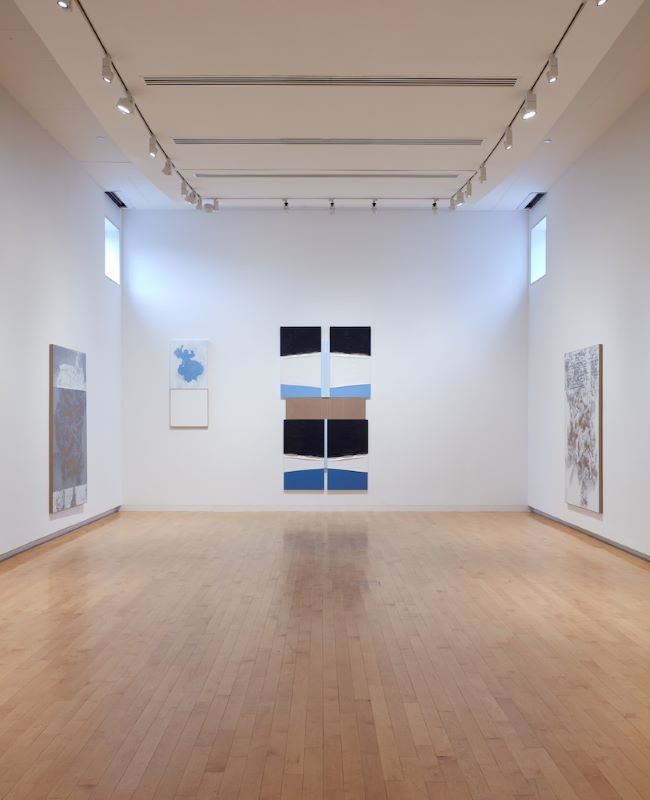 Installation view: N. Dash, The Aldrich Contemporary Art Museum, CT, through September 15, 2019, Photo: Jason Wyche, Courtesy the artist and Casey Kaplan, New York