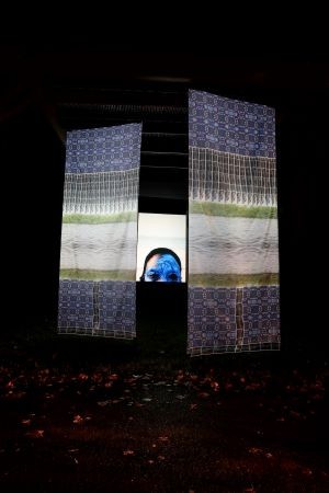 Professor Adama Delphine Fawundu '18, Deep Inside I'm Blue, from Inlight 2021 in Richmond, VA art instillation