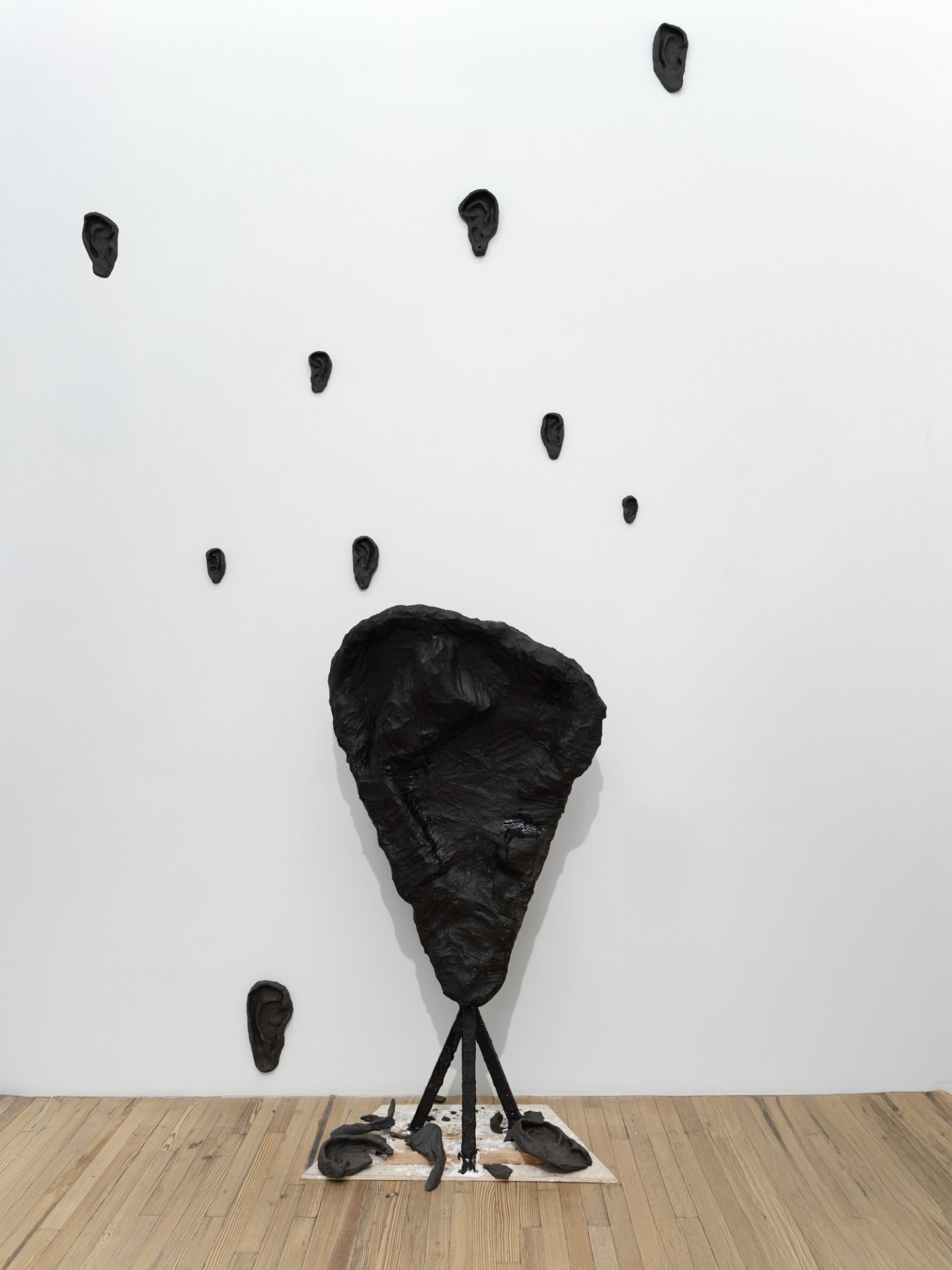 Black ear sculptures installed on a white wall. 